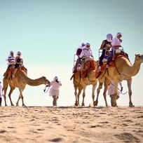 Alistate-Tour en camellos