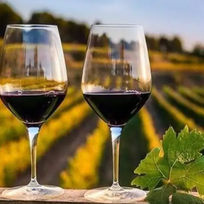 Alistate-Cata de Vinos para 2 personas en Mendoza - USD 150