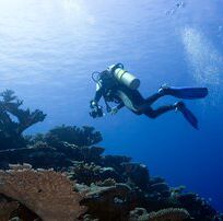 Alistate-Buceo con tanque en Maldivas