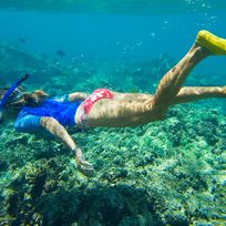 Alistate-Snorkel en Hawaii