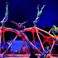 Alistate-Show Cirque du Soleil