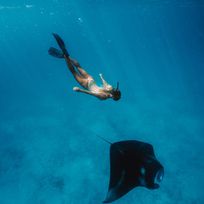 Alistate-Excursion nadando con mantarayas
