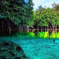 Alistate-Luna de Miel - Krabi - Emerald Pool, Krabi Hot Spring y Tiger Cave Temple