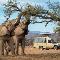 Alistate-Safari y Excursiones - Namibia