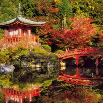 Alistate-Excursión en Kioto para dos personas - Luna de Miel