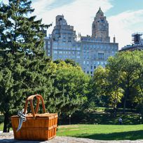 Alistate-Picnic en Central Park