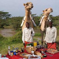 Alistate-Safari en Camello en Kenia