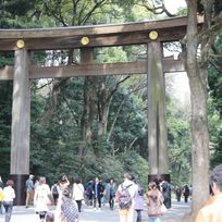Alistate-Visita al Santuario Meiji en Tokio