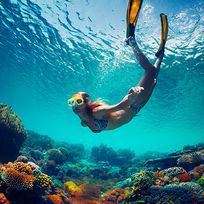 Alistate-Dia de Snorkeling