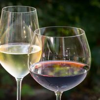 Alistate-Set copas de vino