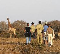 Alistate-Bush walk Kruger Park