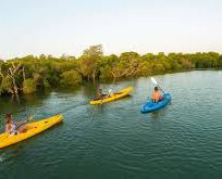 Alistate-Una tarde de kayaking en Mozambique