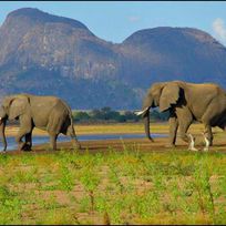 Alistate-Visita guiada Reserva de Elefantes