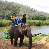 Alistate-Excursion Elefantes