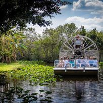 Alistate-Excursión por los Everglades de Miami