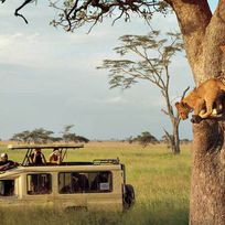 Alistate-Safari por Africa