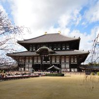 Alistate-Excursión en Kyoto y Nara 