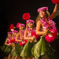 Alistate-Show danza Luau en Hawai