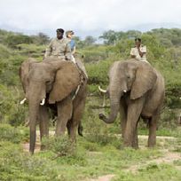 Alistate-Paseo en elefante