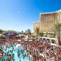 Alistate-Las Vegas Pool Clubs and Pool Parties 