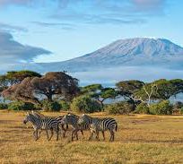 Alistate-Safari Masai Mara