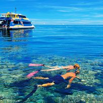 Alistate-Snorkel en Punta Cana