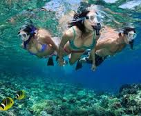 Alistate-Snorkel en Hawaii
