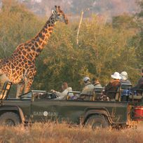 Alistate-safari sudáfrica LUNA DE MIEL para dos personas