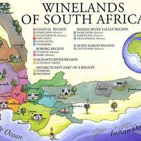 Alistate-Ricos vinos sudafricanos