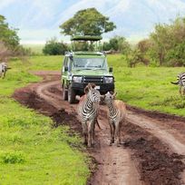 Alistate-3 dias Safari Ngorongoro