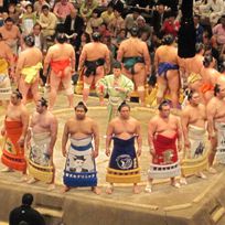 Alistate-Espectáculo de Sumo en Tokyo