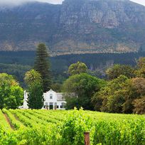Alistate-Ruta de catas de Winelands Stellenbosch desde Ciudad del Cabo